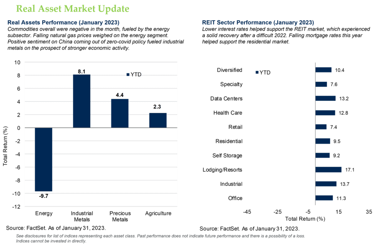 Real Asset Market Update