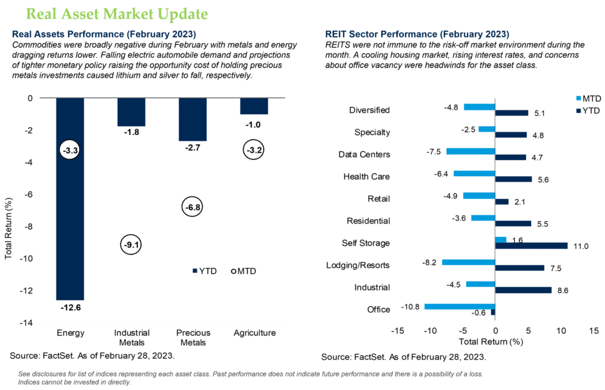 Real Asset Market Update