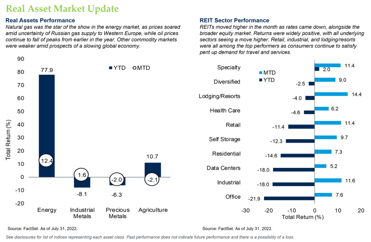 Real Asset Market Update