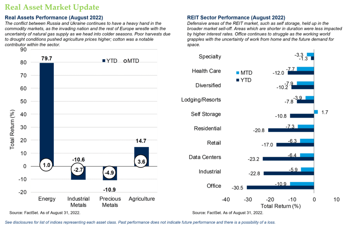 Real Asset Market Update