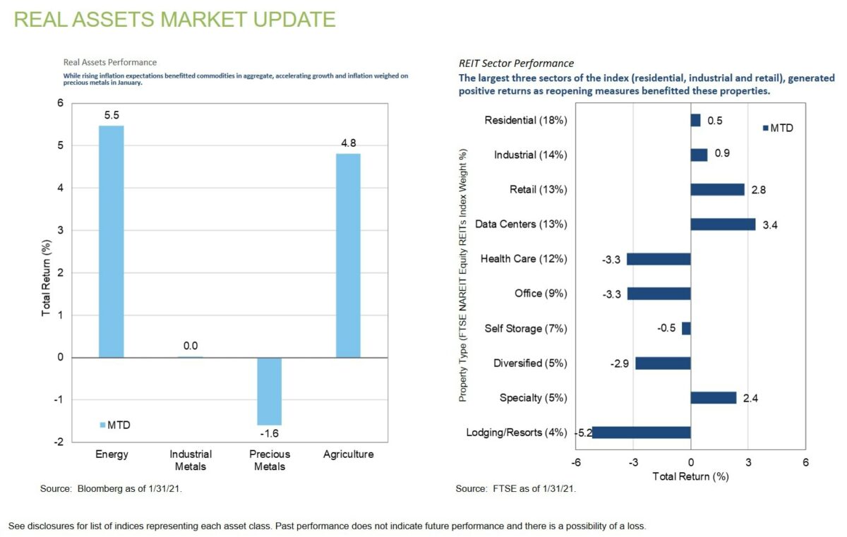 Real Assets Market Update